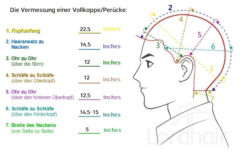 Vermessung der Perücke Ariel Lordhair