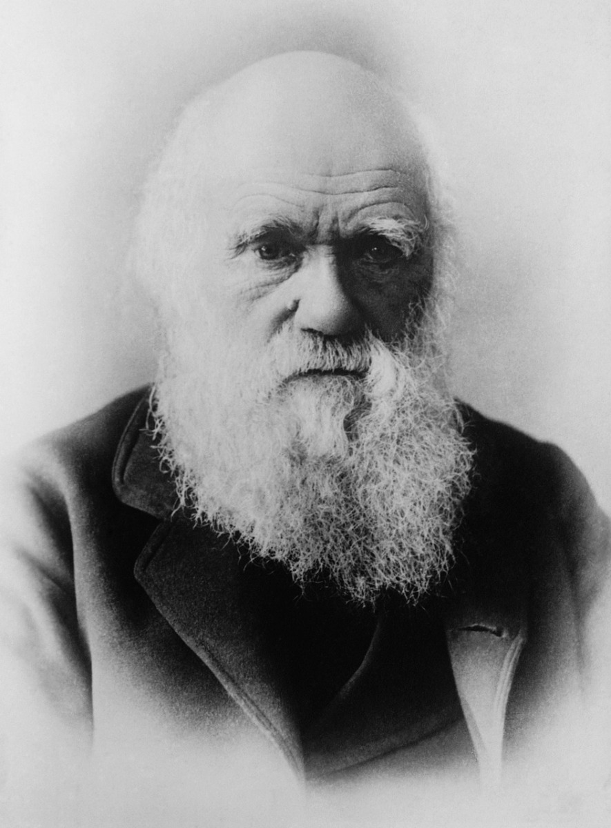 Charles Darwin und die Evolution