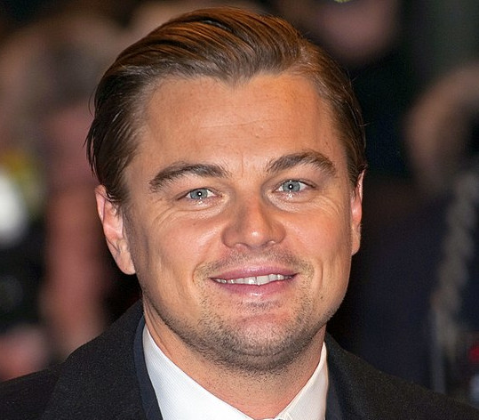 herzförmige Gesichtsform Leonardo DiCaprio